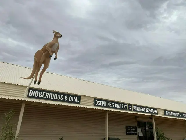 クーバー・ペディのカンガルー・オーファネッジ【オーストラリア】