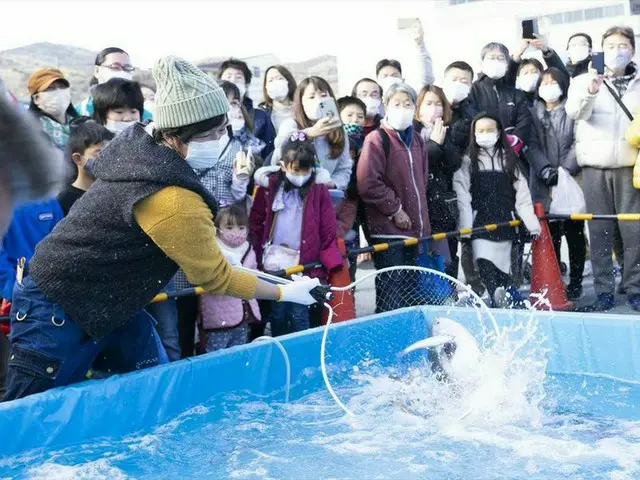 伊豆半島の特産品がお得に買える！「第29回伊東温泉めちゃくちゃ市」開催【静岡県伊東市】