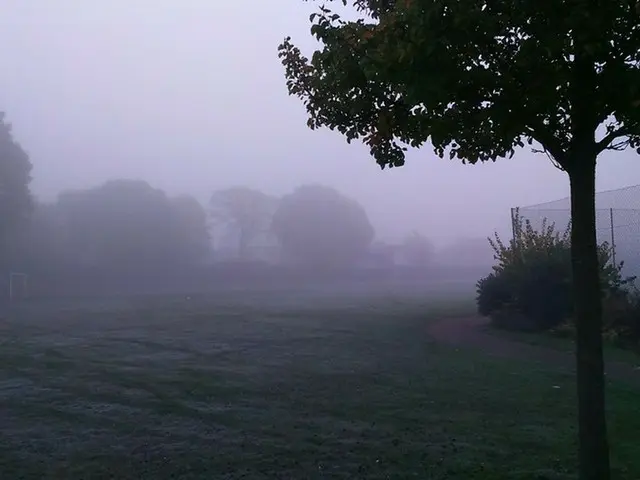 冬によくある霧の深い朝【イギリス】