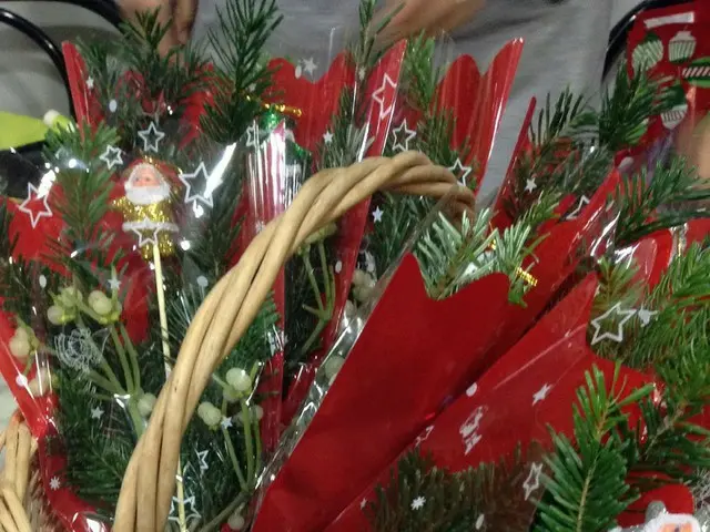 クリスマスの飾り「やどり木」【スペイン】