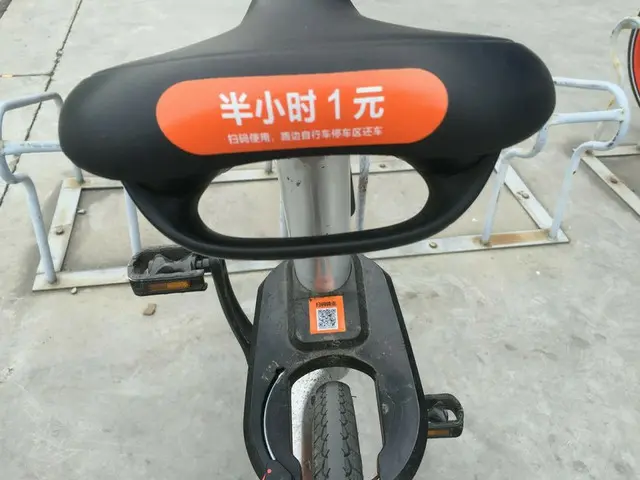 中国で流行りのレンタル業【中国】