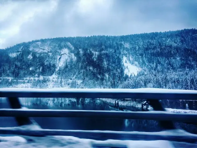 山道の冬の雪景色が幻想的【スイス】