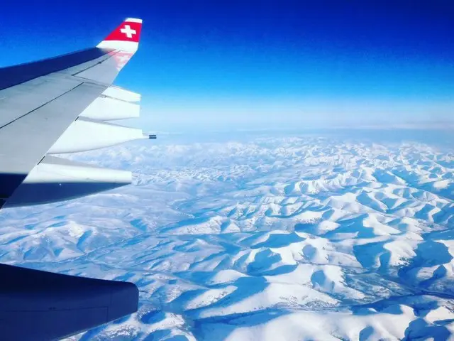 上空から見たスイスの景色が美しすぎる【スイス】