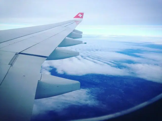 機内で日本を感じながら人生相談【スイス】