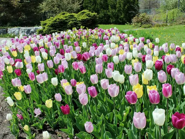 6ヘクタールもある広大な植物庭園【カナダ】