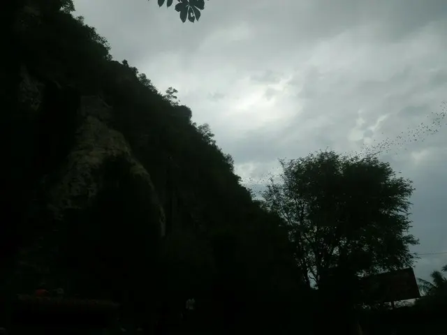 夕暮れにコウモリの大群が出てくる洞窟【カンボジア】