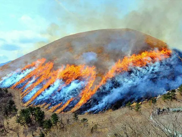 700年の歴史を持つ伝統行事！伊東の春の風物詩「大室山山焼き大会」開催