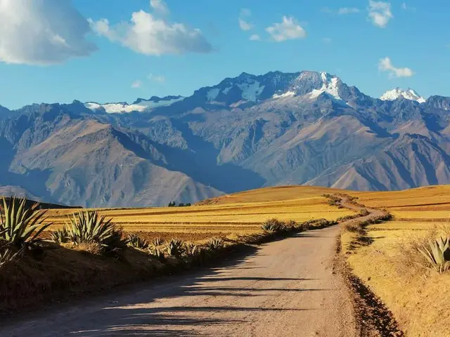 【旅に関する面白いギネス記録】南米大陸6,200kmを102時間で横断するバス路線
