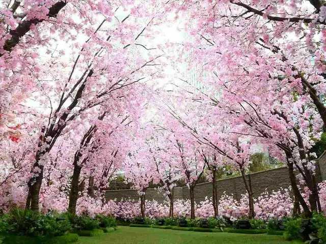 【大名古屋ビルヂング開業7周年】桜グルメ・イルミネーション・サクラスカイガーデン装飾も！