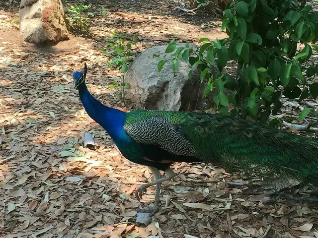 マタランカの自然【オーストラリア】