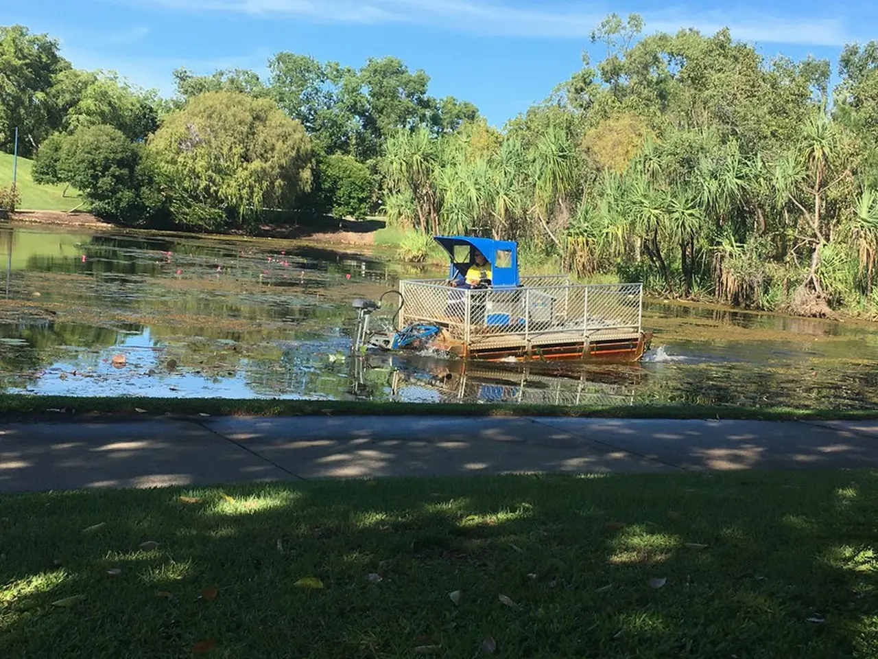湖を掃除する機会