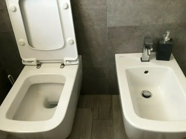 イタリアのトイレにある2つの便器【イタリア】