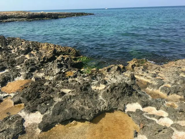 イタリアでウニを堪能できる場所【イタリア】