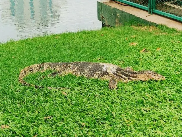 巨大トカゲを見るならルンピニ公園へ【タイ】