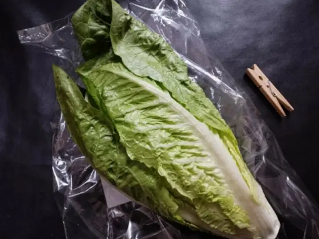 葉物、どれを買う?【フランス】