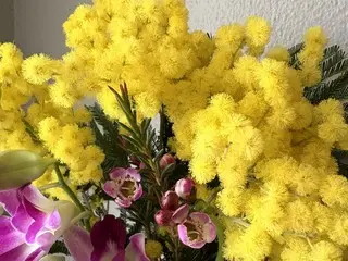ミモザの花を贈る日【イタリア】