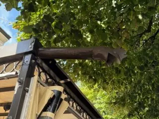 見つけてニッコリ！イタリアの可愛い雨樋【イタリア】