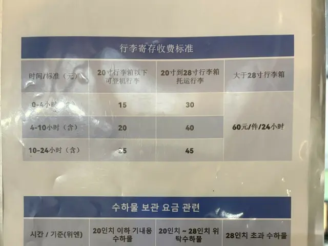 上海浦東空港で便利な荷物一時預かり所【中国】