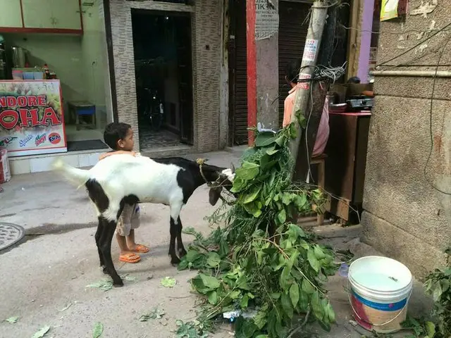 大切な日だけど、国によって若干ズレるイード【インド】