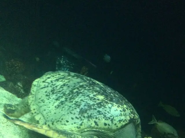 バンクーバー唯一の水族館【カナダ】