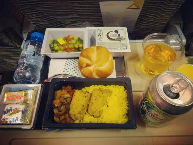 ジュネーブからアブダビまでのエティハド航空の機内食【アラブ首長国連邦・アブダビ】