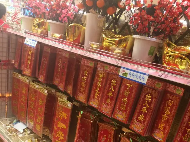 移民の国カナダのCHINESE NEW YEAR！2018【カナダ】