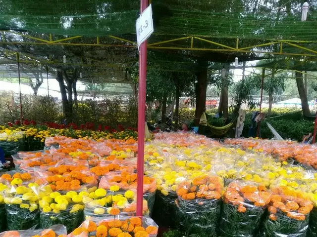 賑やかで鮮やか! テトの花市へ行ってみる【ベトナム】