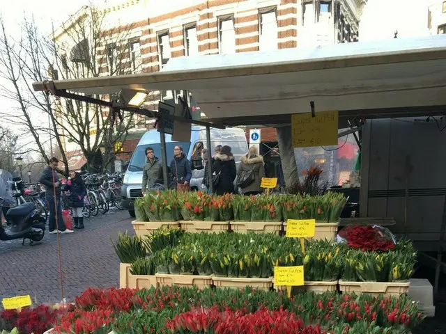 花の国オランダ！オランダ人流 花のある生活【オランダ】