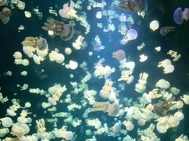 バンクーバー水族館【カナダ】