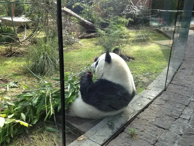 メキシコシティ駐在員の休日（動物園）【メキシコ】