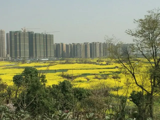 成都の短い春の始まり！【中国】