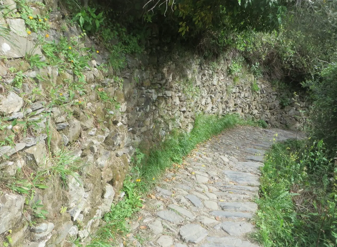 街をつなぐ海沿いの遊歩道