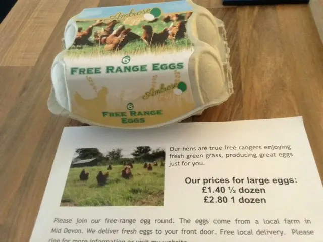 さすが動物愛護の国！「FREE RANGE」と書かれた卵が人気の理由【イギリス】