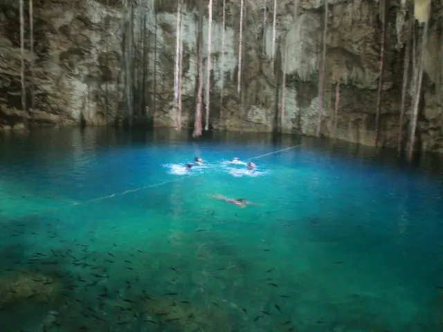 神秘的なセノーテを泳ぐ【メキシコ】