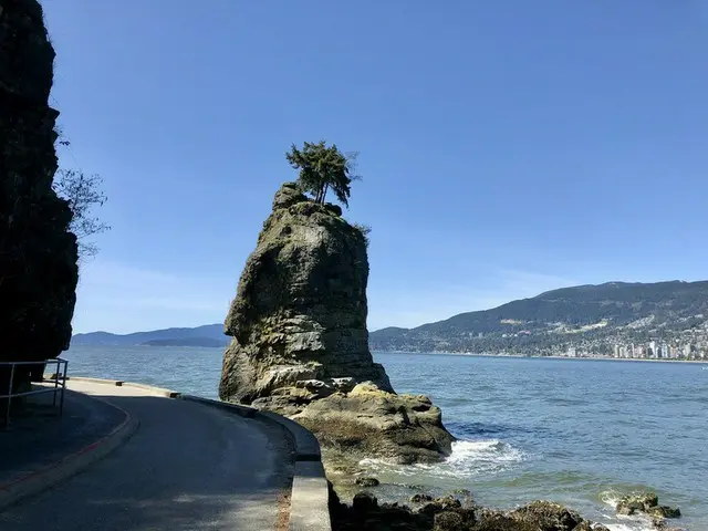 岩の上の木【カナダ】