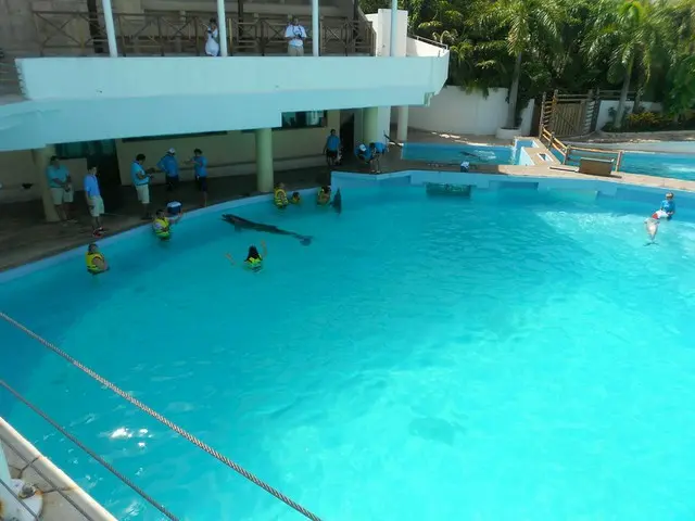 イルカと泳げる水族館【メキシコ】