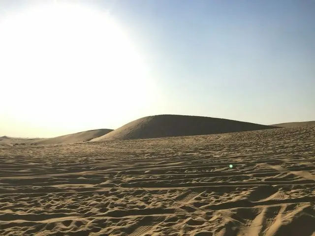 ドバイに行ったら砂漠ツアー【アラブ首長国連邦・ドバイ】