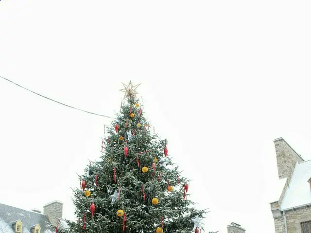 旧市街地のクリスマス【カナダ】