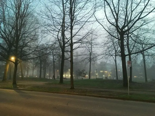 「フォグクーバー」！？霧で覆われたバンクーバー【カナダ・バンクーバー】