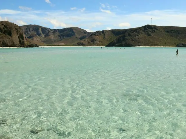 ウミガメの産卵がみられるかも【メキシコ】