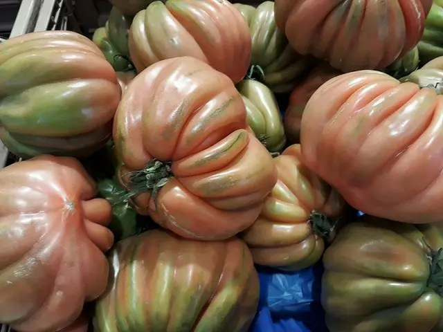 初夏のイタリア　トマトづくし【イタリア】