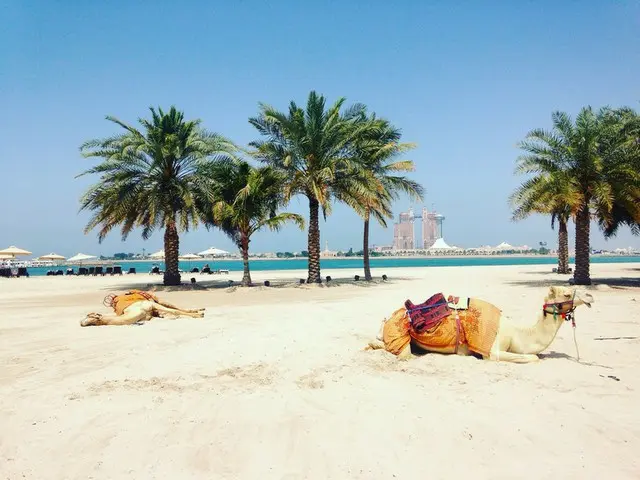 ラクダが住んでいるプライベートビーチ【アラブ首長国連邦・アブダビ】