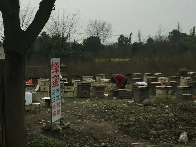 春の訪れ～養蜂家がやって来る【中国・四川省】