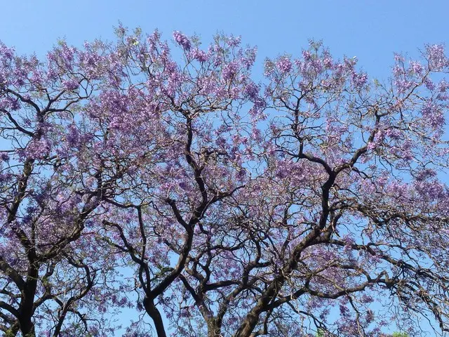 メキシコ生活で多い病気はどんなもの【メキシコ】