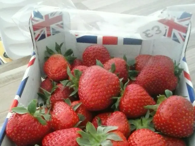 今からが旬！夏の果物といえばイギリスではイチゴなんです！【イギリス】
