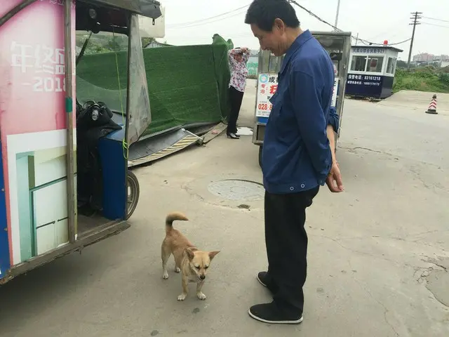 地元の有名犬【中国・四川省】