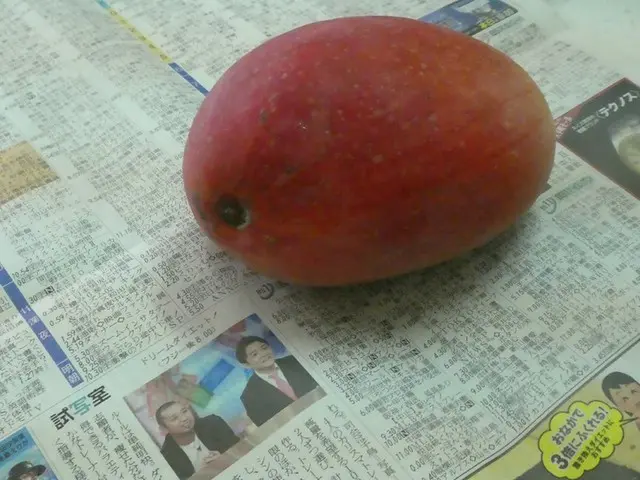 台湾で旬のマンゴーをいただきます♡【台湾・台北】