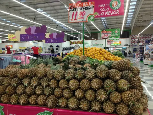 意外なものが見つかるチョポ市場【メキシコ】