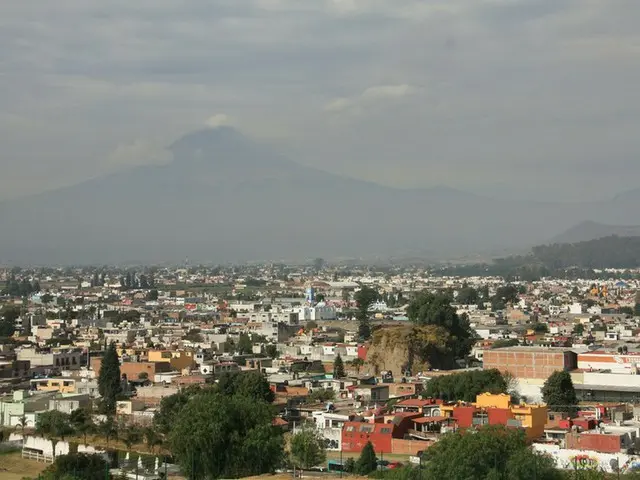 予防接種は計画的に行い赴任を【メキシコ】