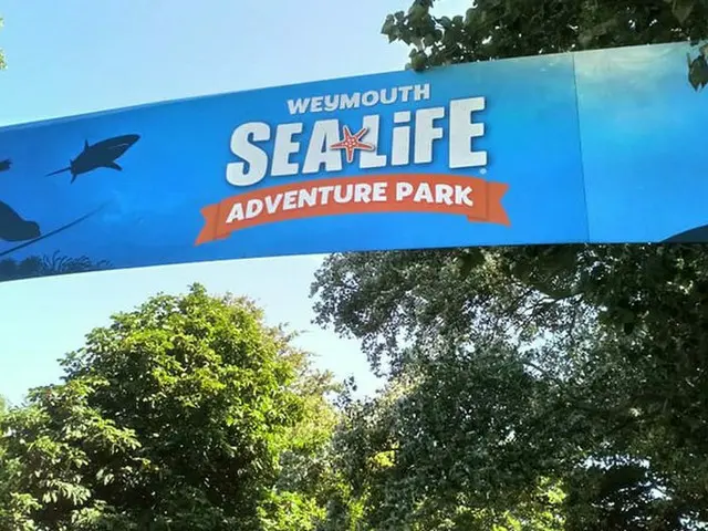 イギリスの水族館「SEA LIFE」は環境についても学べる楽しい遊び場！【イギリス】